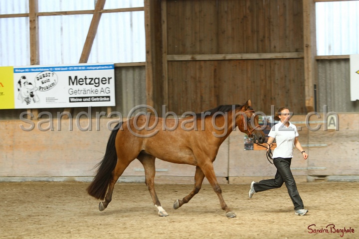 24-ApHC HIH_084.jpg